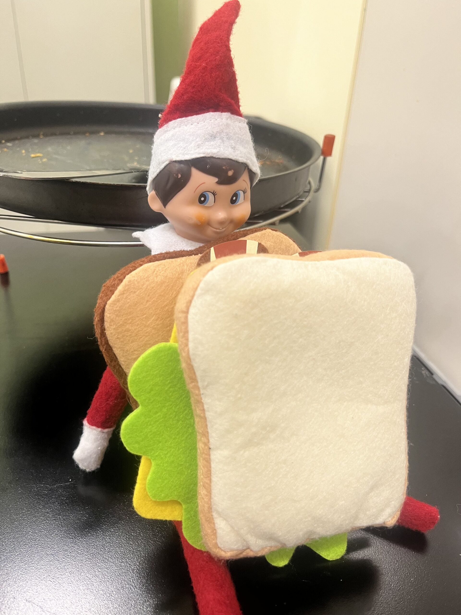 elf20 - Wesley Family Services